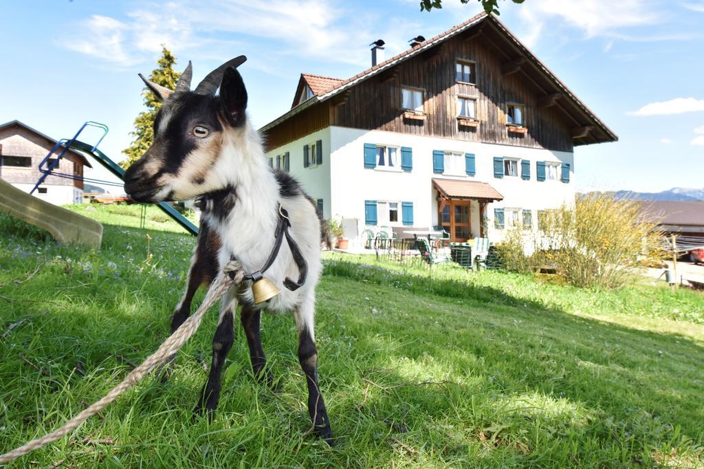 Apartmán Lindenhof Sulzberg  Exteriér fotografie